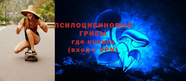 ПСИЛОЦИБИНОВЫЕ ГРИБЫ Абаза