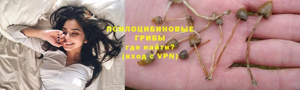 первитин Гусиноозёрск