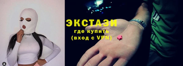 мдпв Гусев