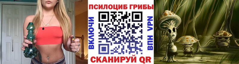 где продают   Альметьевск  Галлюциногенные грибы прущие грибы 