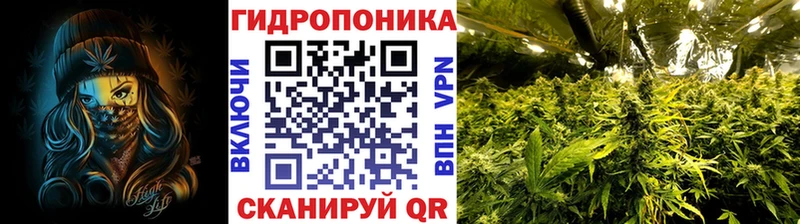 Бошки Шишки AK-47  купить наркоту  Альметьевск 